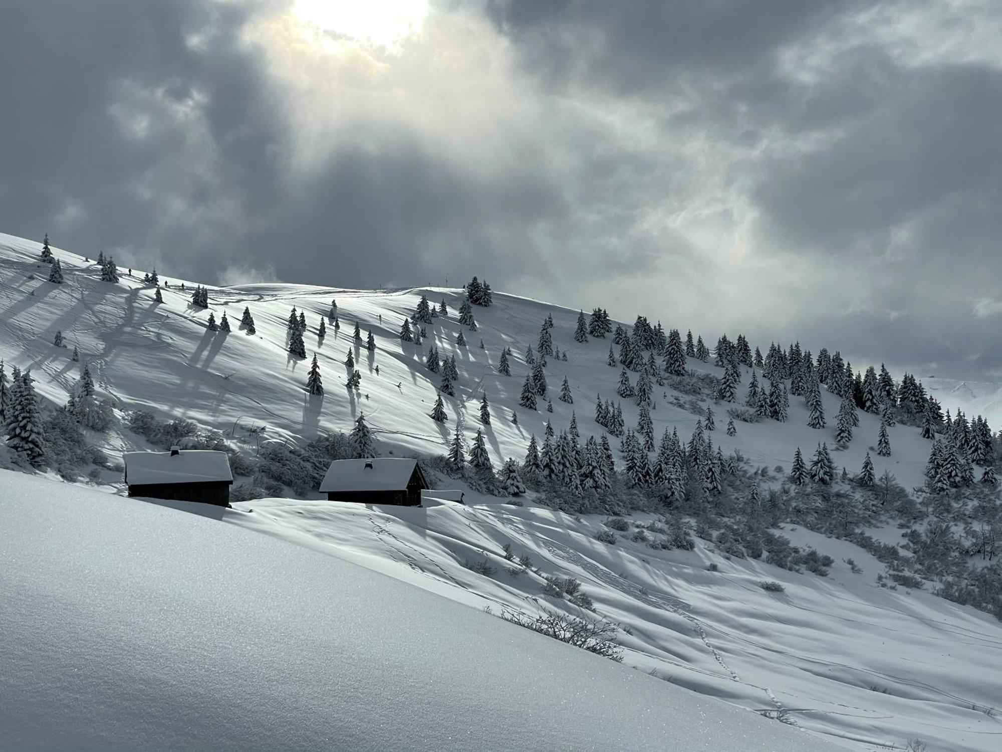 Chalet*** Au Pied D'Une Prairie Face A La Montagne Sixt Exterior foto